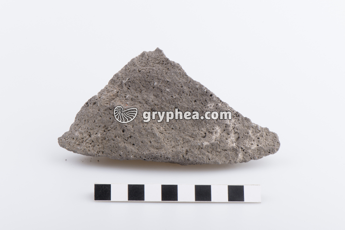 Andésite - gryphea.com